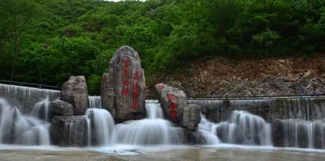 银河中动物逃生
